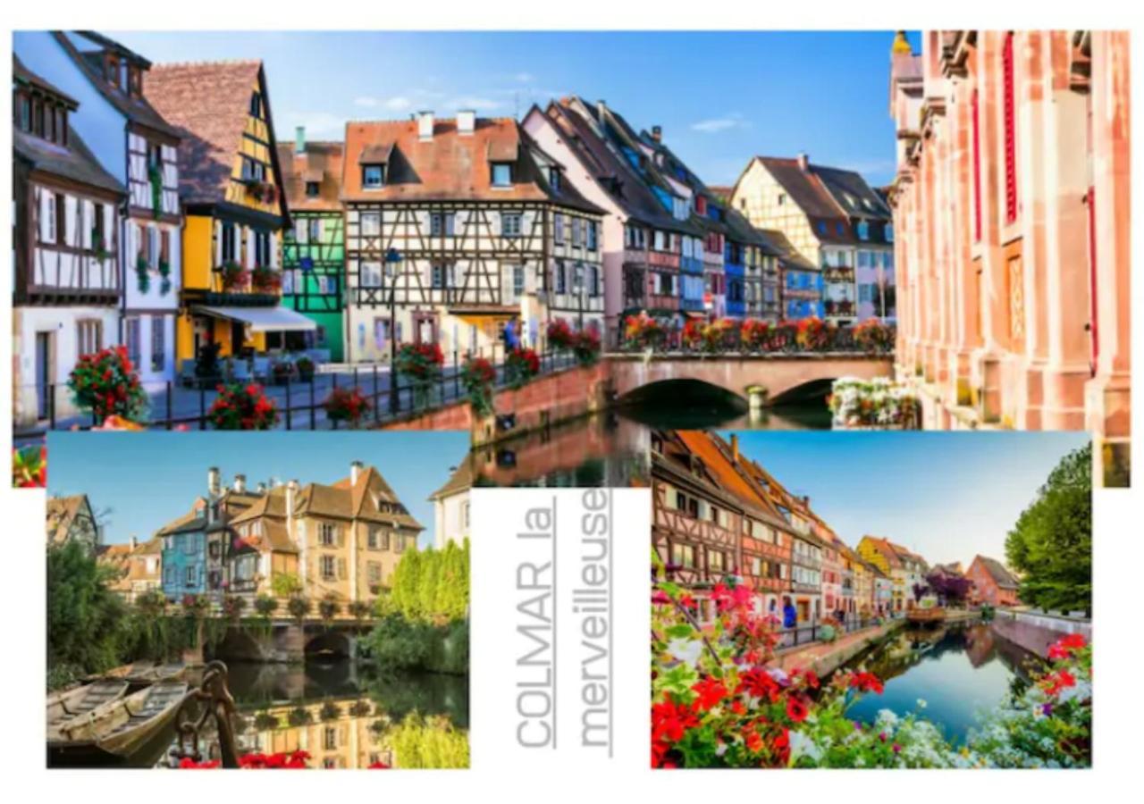 Thann Colmar - 1 Chambre - 5 Pers - Parking Eksteriør billede