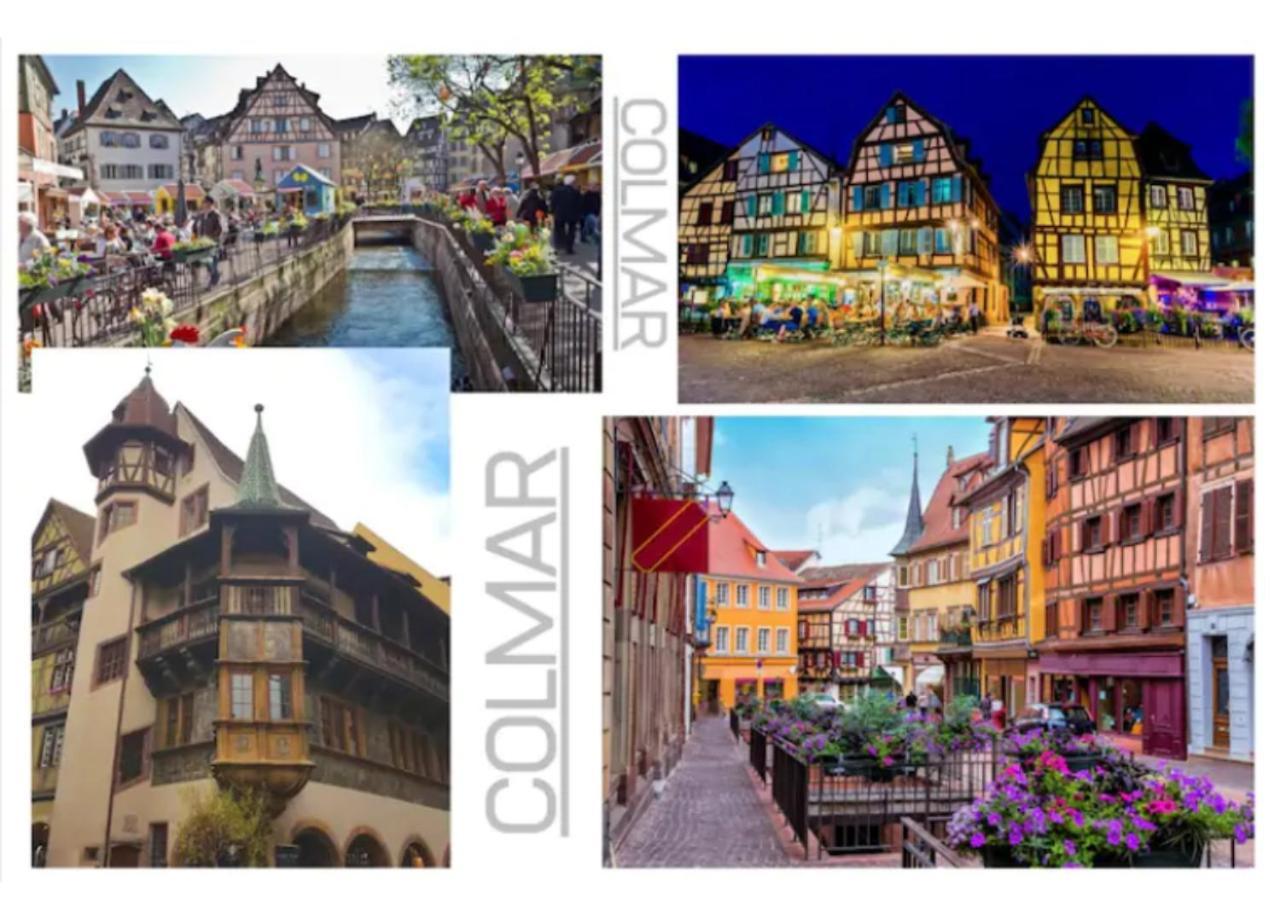 Thann Colmar - 1 Chambre - 5 Pers - Parking Eksteriør billede