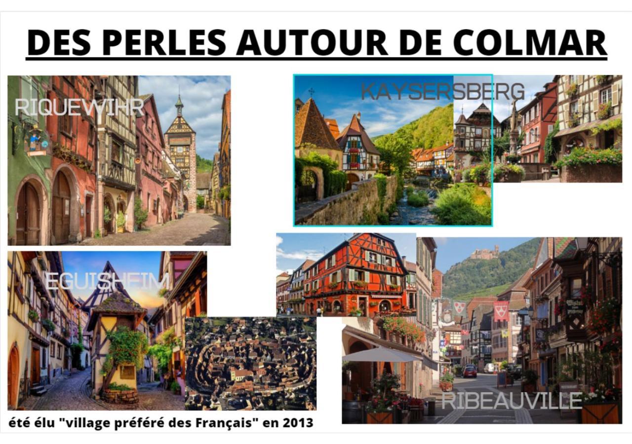 Thann Colmar - 1 Chambre - 5 Pers - Parking Eksteriør billede